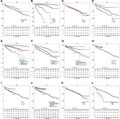 Risk of cardiac-related death in astrocytoma patients treated with chemotherapy: A competing risk analysis using the SEER database